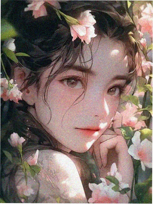 电影铁皮屋顶的夏天海报